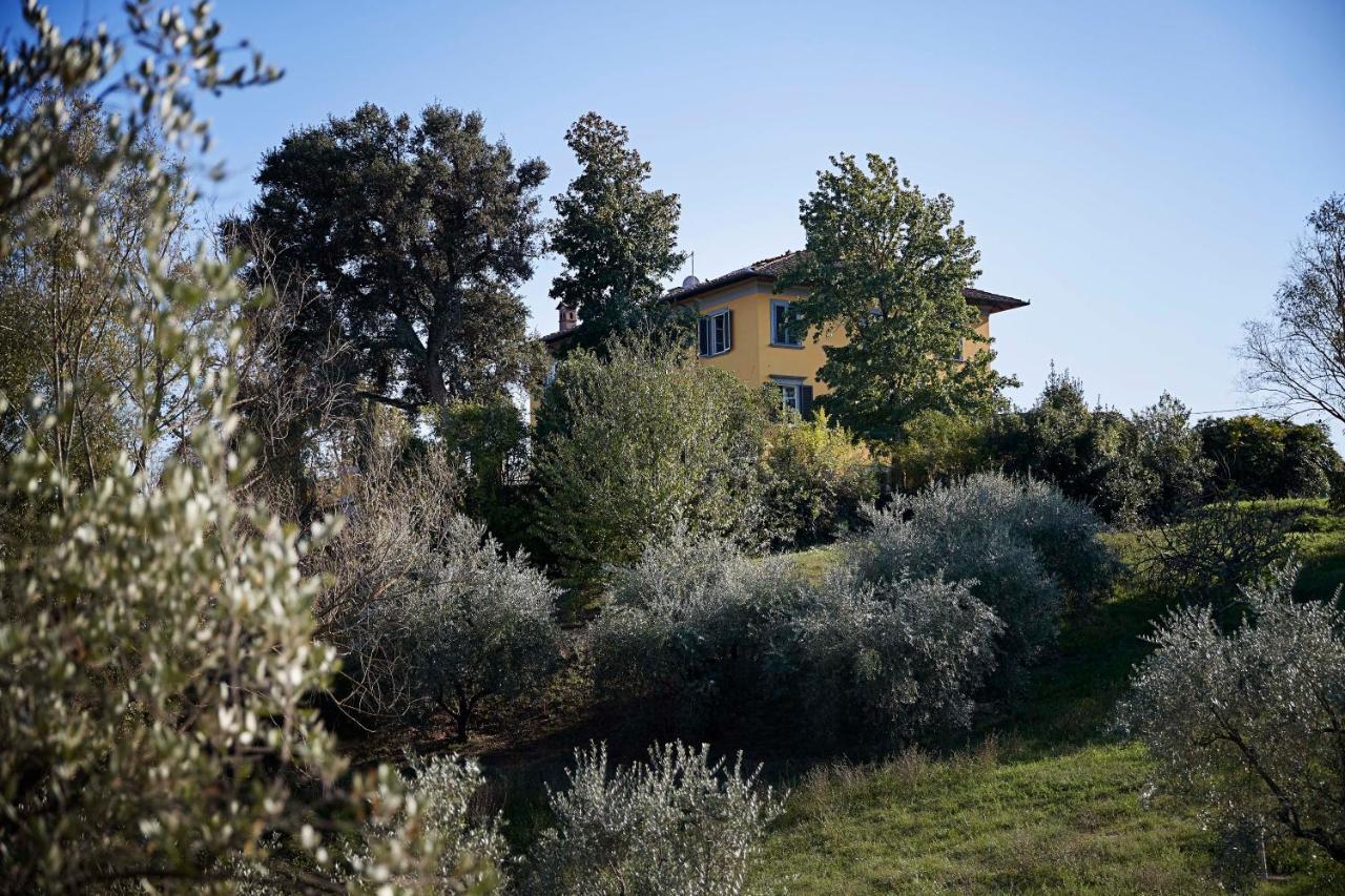 Villa Pacini - Just 1,8 Km Outside Lucca Wall - Pool Exterior photo